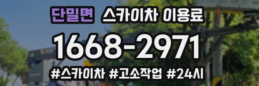 단밀면 스카이차 이용료