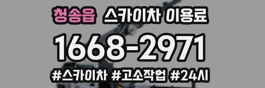 청송읍 스카이차 이용료