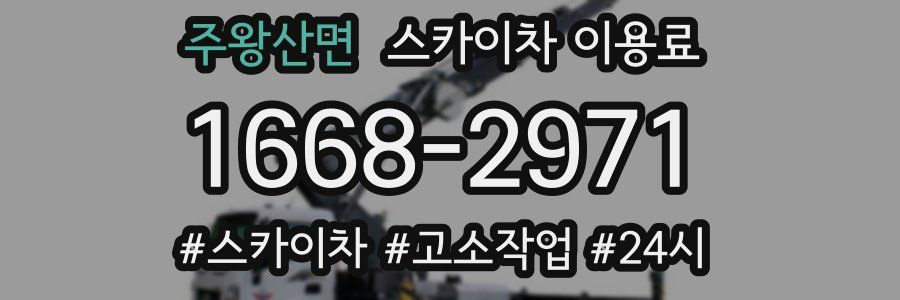 주왕산면 스카이차 이용료