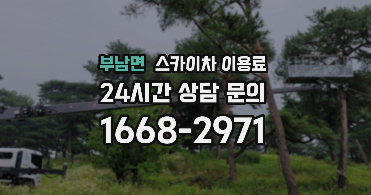 부남면 스카이차 이용료