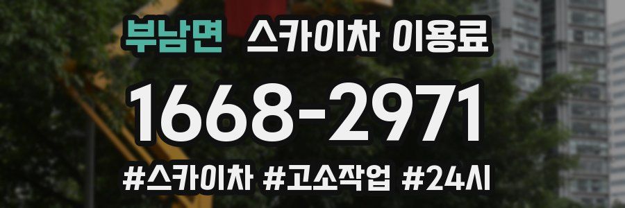 부남면 스카이차 이용료