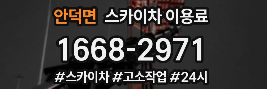 안덕면 스카이차 이용료