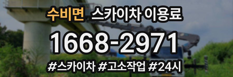 수비면 스카이차 이용료