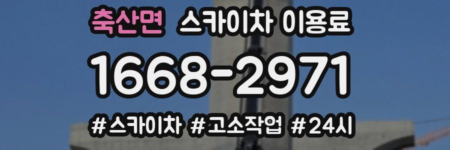 축산면 스카이차 이용료