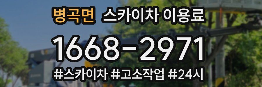 병곡면 스카이차 이용료