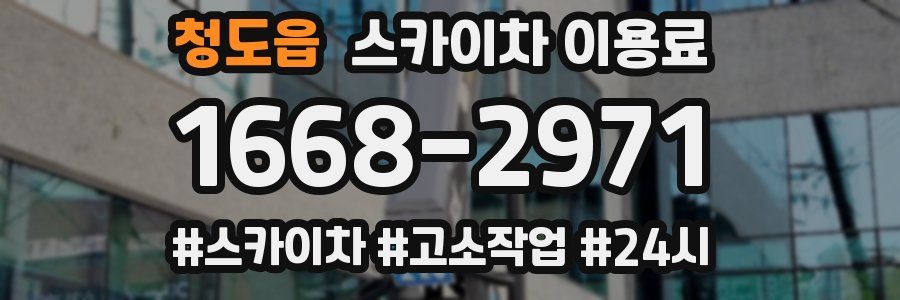 청도읍 스카이차 이용료