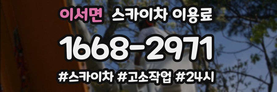 이서면 스카이차 이용료