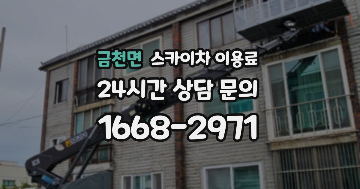 금천면 스카이차 이용료