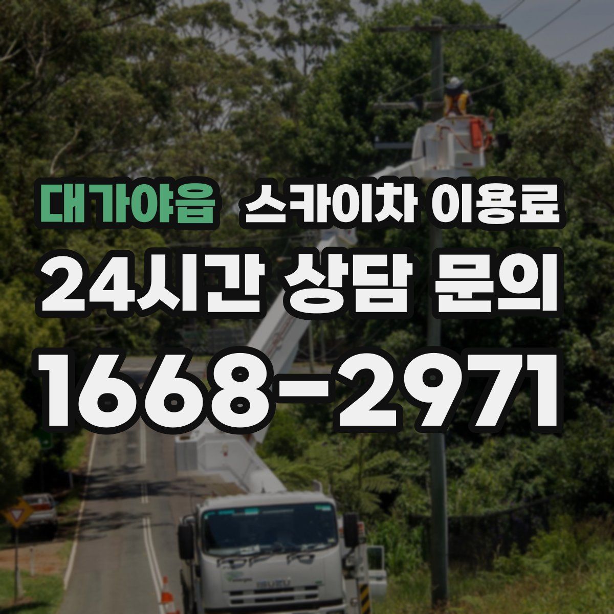 대가야읍 스카이차 이용료