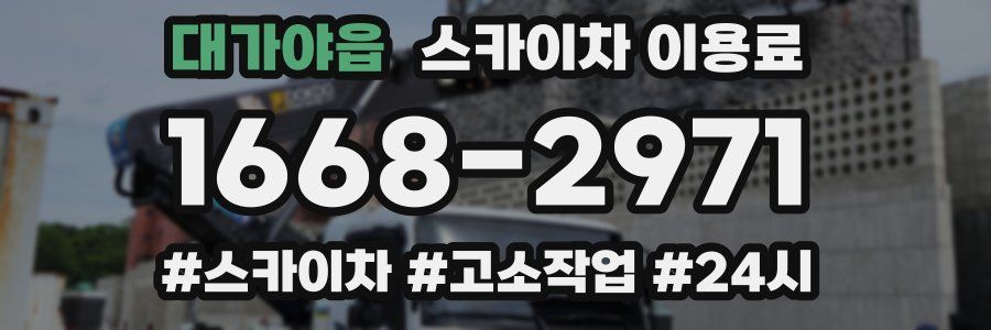 대가야읍 스카이차 이용료