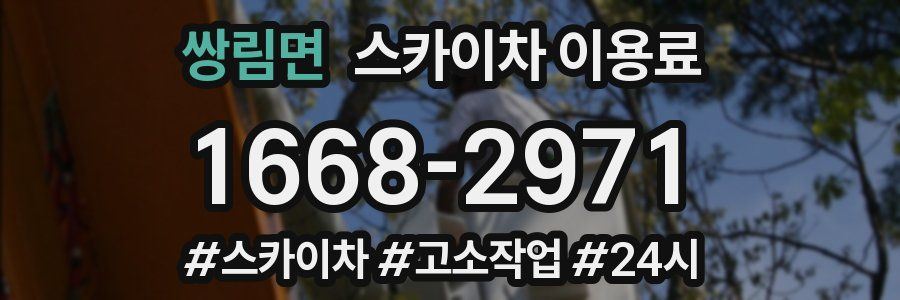 쌍림면 스카이차 이용료