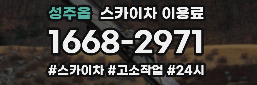 성주읍 스카이차 이용료