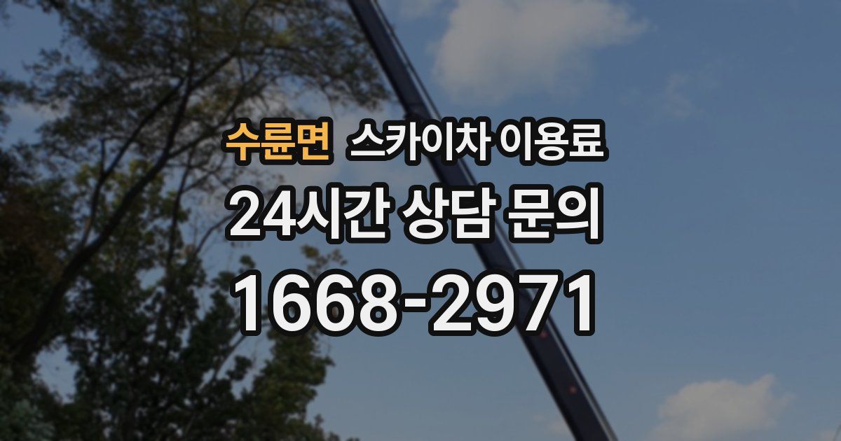 수륜면 스카이차 이용료