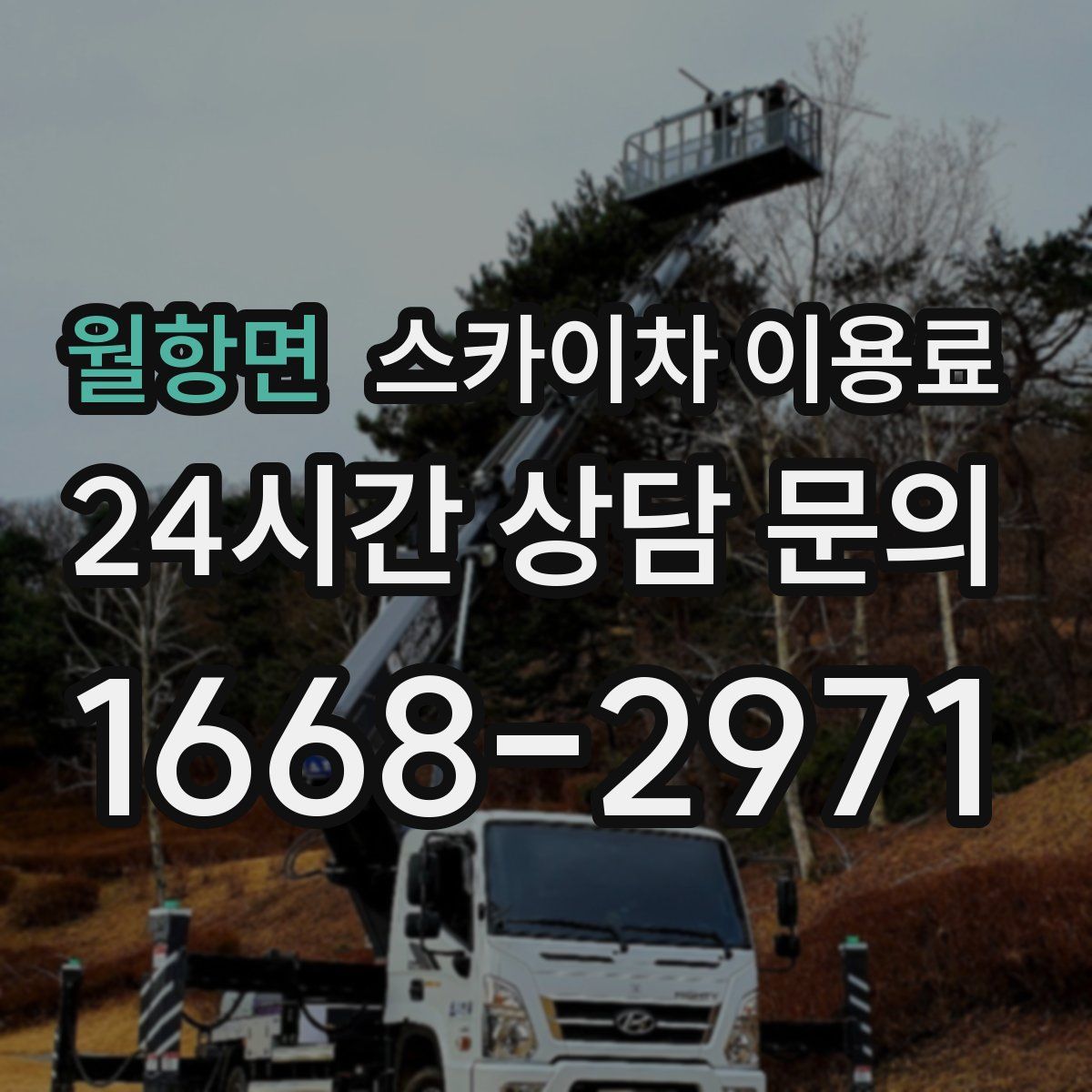 월항면 스카이차 이용료