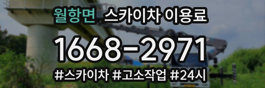 월항면 스카이차 이용료