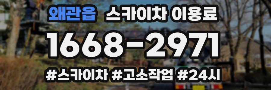 왜관읍 스카이차 이용료