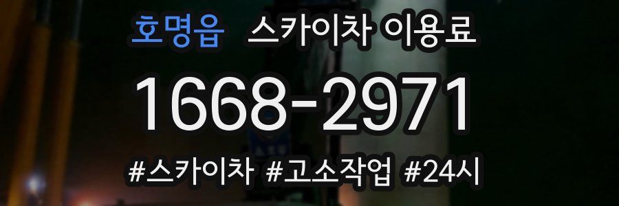 호명읍 스카이차 이용료
