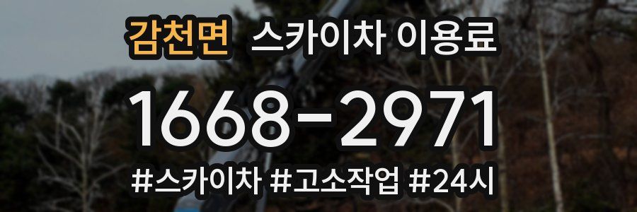 감천면 스카이차 이용료
