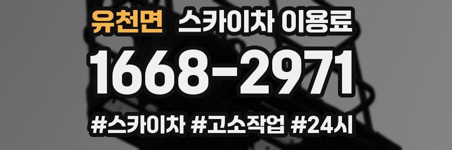 유천면 스카이차 이용료