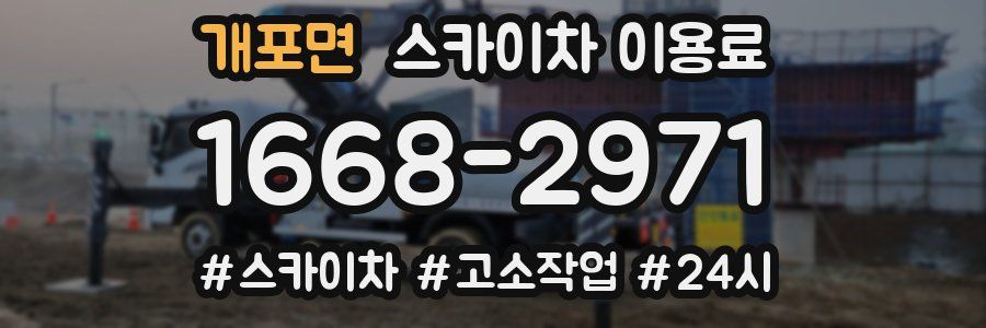 개포면 스카이차 이용료