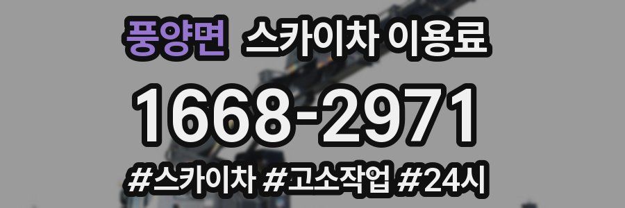 풍양면 스카이차 이용료