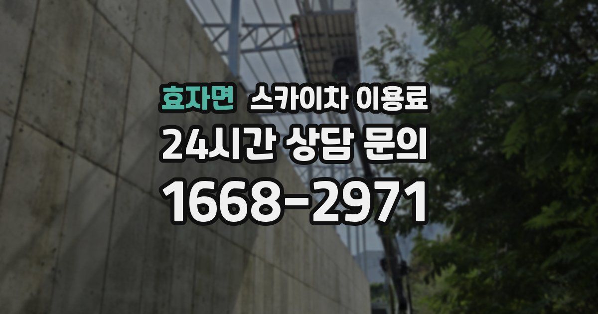 효자면 스카이차 이용료
