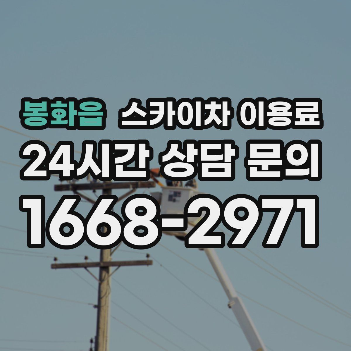 봉화읍 스카이차 이용료