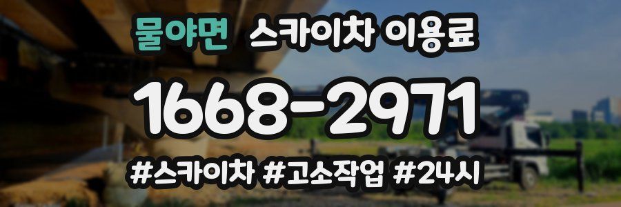 물야면 스카이차 이용료