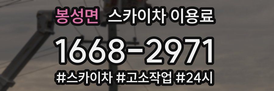 봉성면 스카이차 이용료