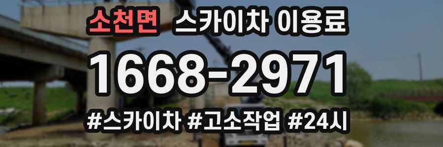 소천면 스카이차 이용료