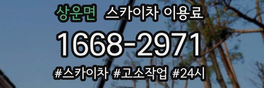 상운면 스카이차 이용료