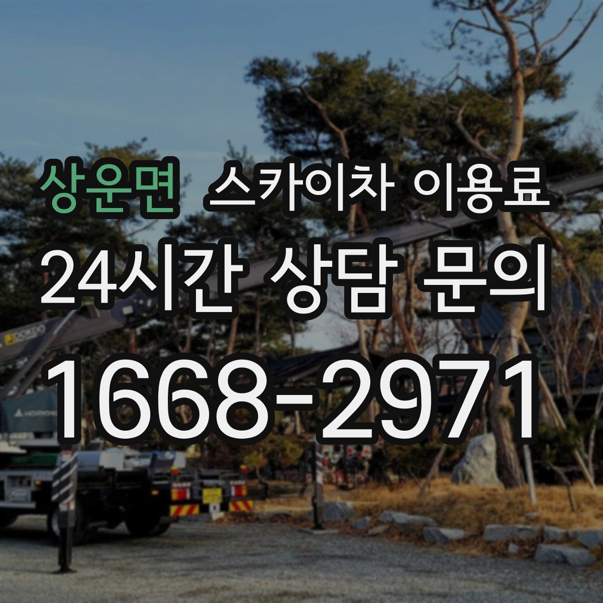 상운면 스카이차 이용료