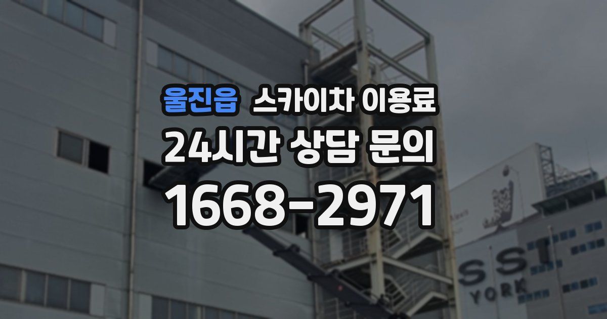 울진읍 스카이차 이용료