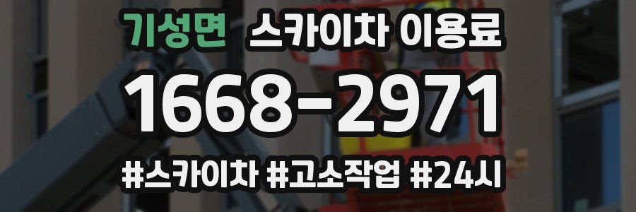 기성면 스카이차 이용료