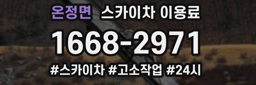 온정면 스카이차 이용료