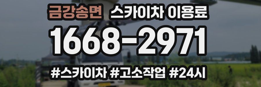 금강송면 스카이차 이용료