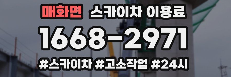 매화면 스카이차 이용료