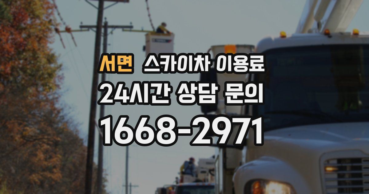 서면 스카이차 이용료