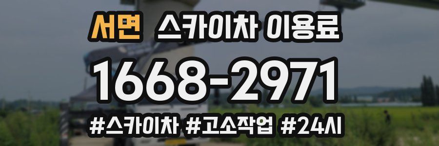 서면 스카이차 이용료
