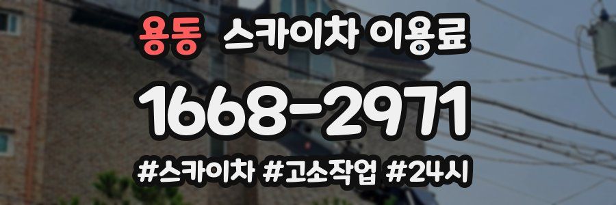 용동 스카이차 이용료