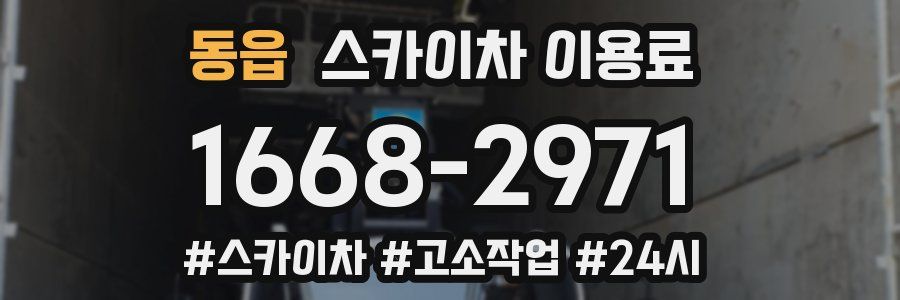 동읍 스카이차 이용료