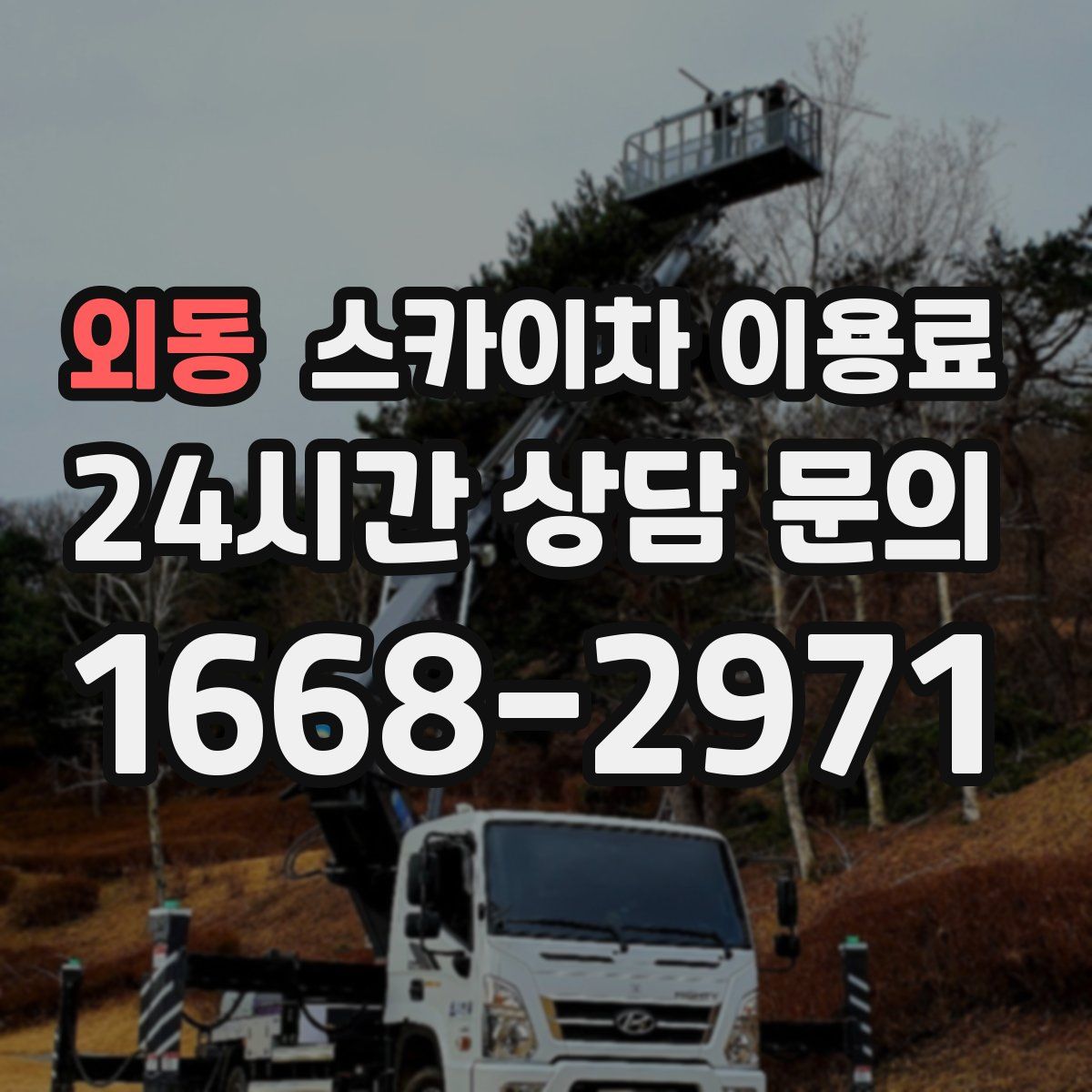 외동 스카이차 이용료
