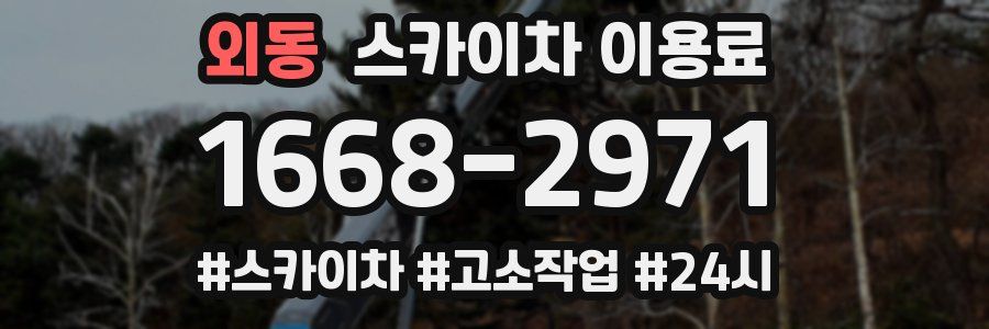 외동 스카이차 이용료