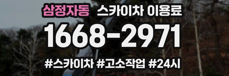 삼정자동 스카이차 이용료
