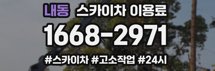 내동 스카이차 이용료