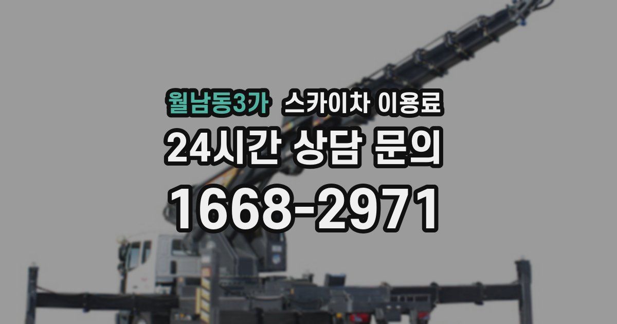 월남동3가 스카이차 이용료