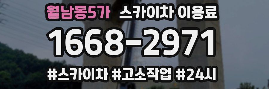 월남동5가 스카이차 이용료