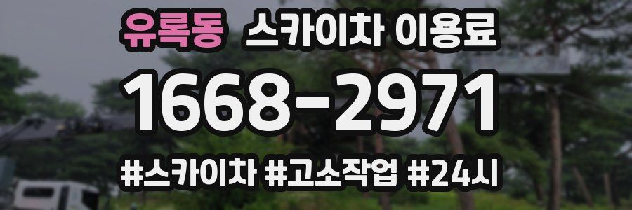 유록동 스카이차 이용료