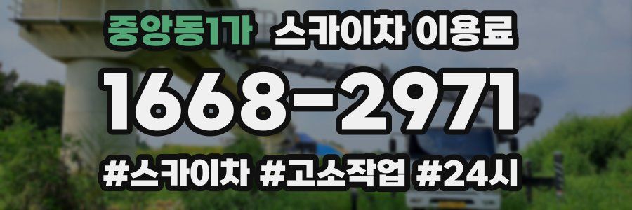 중앙동1가 스카이차 이용료