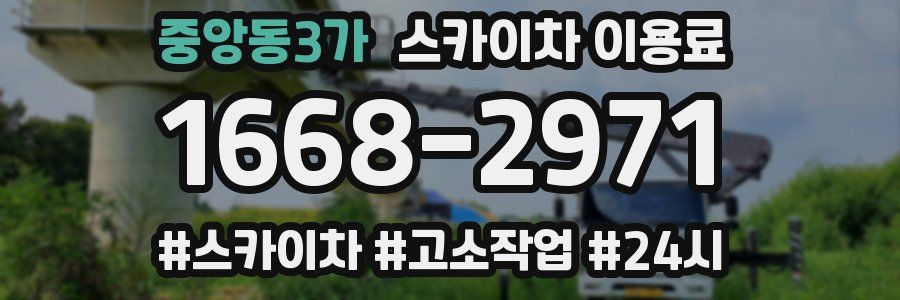 중앙동3가 스카이차 이용료
